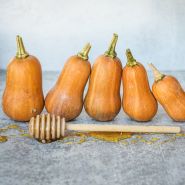 Five Honeynut Butternut Winter Squash in a row with a honey dripper against a high key background.