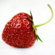 A single Old North Sea Strawberry on a light background.