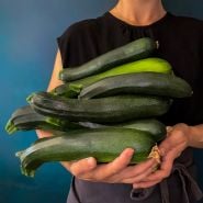 A woman holding a large stack of Black Beauty Zucchini Summer Squash in her arms. Image by Lucy Hutchins.
