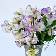 High Scent Sweet Peas arranged in vase against a light background.