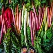 Overhead view of fresh heads of Five Color Silverbeet Swiss Chard with colorful socks in edge of frame.