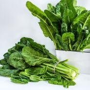 A couple of bundles of Perpetual Spinach Swiss Chard on bright white background.