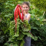 A little girl smiles as she holds up a giant head of Vulcan Swiss Chard in a Baker Creek greenhouse.
