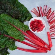 Vulcan Swiss Chard with cut bright red stems arranged around and in a bowl on a light background.