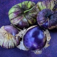 Close-up view of  Purple Tomatillos on a purple background.