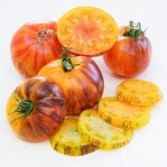 Cut and whole Alice's Dream Tomatoes arranged on a white background.