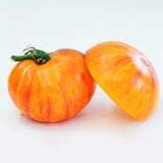 Whole and cut Alice's Dream Tomatoes on a high key background.