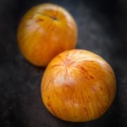 Detail macro view of two Alice's Dream Tomatoes on dark dramatic background.