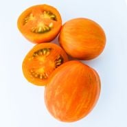 Whole and cut Apricot Zebra Tomatoes on white background.