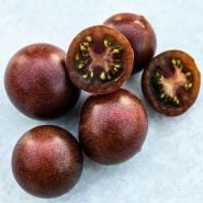 Cl;ose-up of several Black Cherry Tomatoes on a light background.