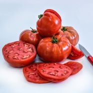 Sliced and whole Bonny Best Tomatoes with a red handled knife on a white background.