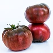 A trio of Cherokee Purple Tomatoes on a white background.