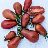 A handfull of almost a dozen Chocolate Pear Tomatoes on a light background.