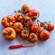 Classic Beefsteak Tomatoes still attached to the vine on light background with a red handled knife.