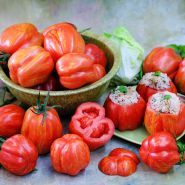 Get Stuffed Tomatoes in a bowl with stuffed tomatoes on light background.
