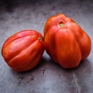 Close-up of two whole Gezahnte Tomatoes on a scratched metal background.