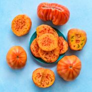 Gold Medal Tomatoes slices on blue plate surrounded by tomatoes on light blue background.
