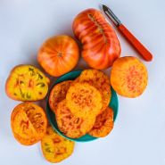Huge Gold Medal tomatoes sliced and whole on a bright blue plate with a peeler.