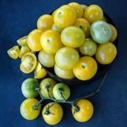  Napa Chardonnay Blush Tomatoes in a bowl on a dark blue background.