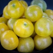 Close-up detailed view of translucent Napa Chardonnay Blush Tomatoes.