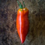 A single Jersey Tomato sitting on a wooden cutting board.