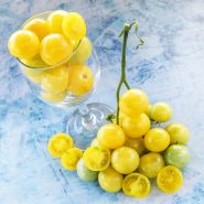 Napa Chardonnay Blush Tomatoes in a wine glass and on a light blue background.