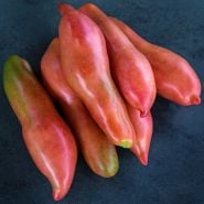 A half dozen Pink Fang Tomatoes stacked on dark jade background.