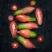 Slightly green Pink Fang Tomatoes on a dark metal background.