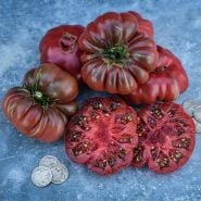 Whole and sliced Purple Calabash Tomatoes with old nickels to show size on a gray background.