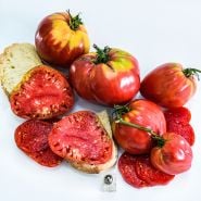 Overhead view of Bread and Salt Tomatoes with bread slices and salt on a high key background.