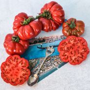 Costoluto Genovese Tomatoes with Italian postcards and a Rome spoon on a light background.
