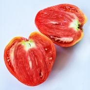 A Hungarian Heart Tomato sliced in half on a white backgound.