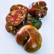Sliced and whole Large Barred Boar Tomatoes on a bright white background.