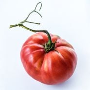 A single Millionaire Tomato against a white background.