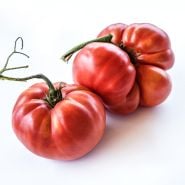 Two large Millionaire Tomatoes on white background.