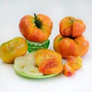 Cut and whole Pineapple Tomatoes on green plates against a white background.