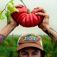 Woman wearing a Baker Creek Trucker Hat holding a large Pink Jazz Tomato over her head in the field.