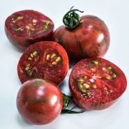 A close-up macro view of cut and whole Purple Bumble Bee Tomatoes on a white background.