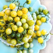 White Currant Tomatoes still on the vine in a fluted bowl on a scalloped light green plate.