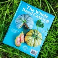 The 2025 Whole Seed Catalog sitting on bed of bright green mizuna mustard.