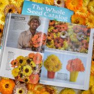 A couple of 2025 Whole Seed Catalogs with one copy open to Calendulas on a bed of calendulas.