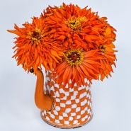 A floral arrangement of Orange Cactus Zinnias in an orange and white pitcher on a white background.
