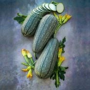 Gray Zucchini Summer Squash arranged with blooms and leaves on a mottled background.