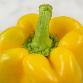 Canary Bell Pepper