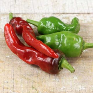Melrose Pepper