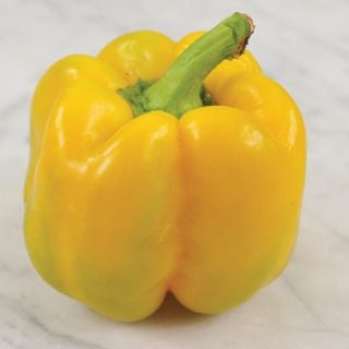 Canary Bell Pepper