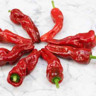 Melrose Pepper
