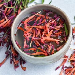 Apache Sunset Agastache tea in a ceramic cup with flowers floating on top.