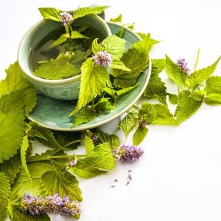 A cup of Golden Jubilee Korean Hyssop tea in a Korean teacup.