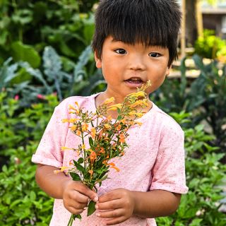 Cyan holding a bouquet of fragrant Navajo Sunset Agastache in the tile garden at Baker Creek.